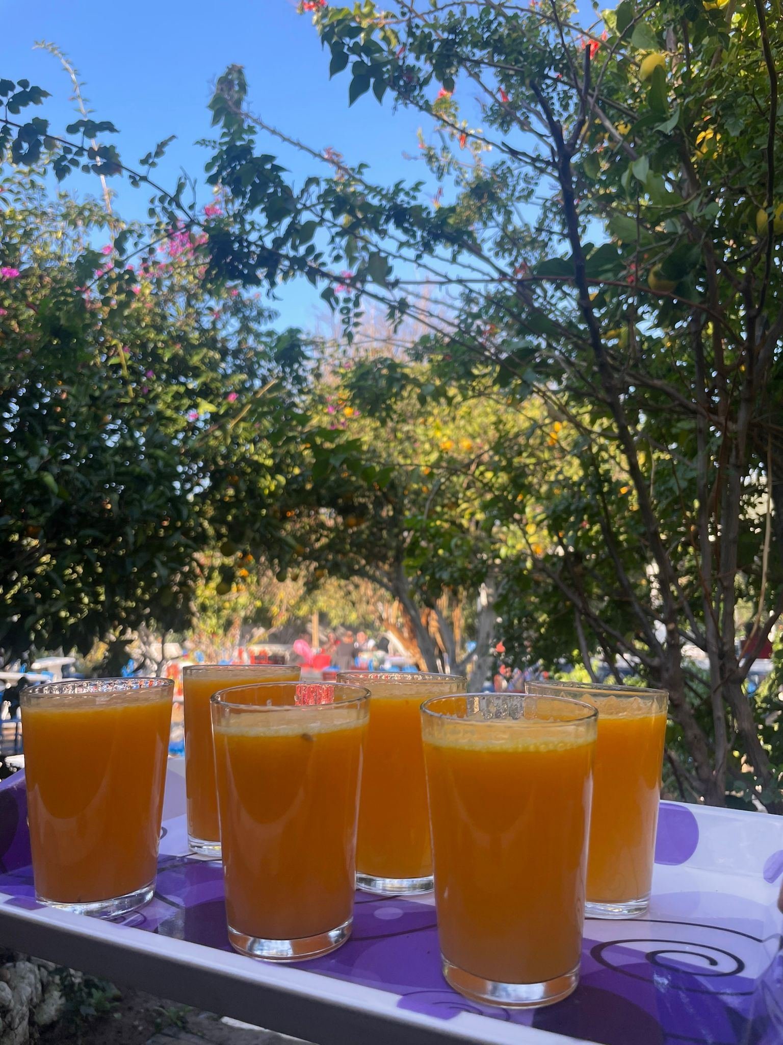 Asmalı Çardak galeri fotoğrafı 12