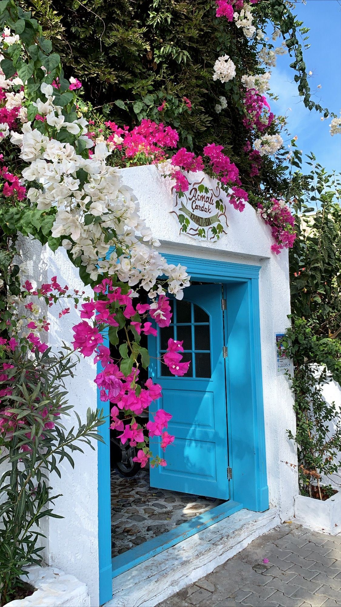 Asmalı Çardak galeri fotoğrafı 33