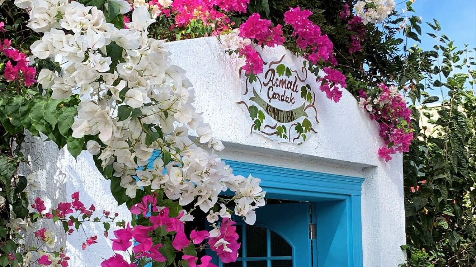 Asmalı Çardak Türkbükü - Cafe in Türkbükü, Bodrum
